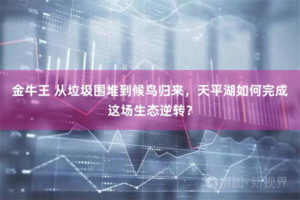 金牛王 从垃圾围堆到候鸟归来，天平湖如何完成这场生态逆转？