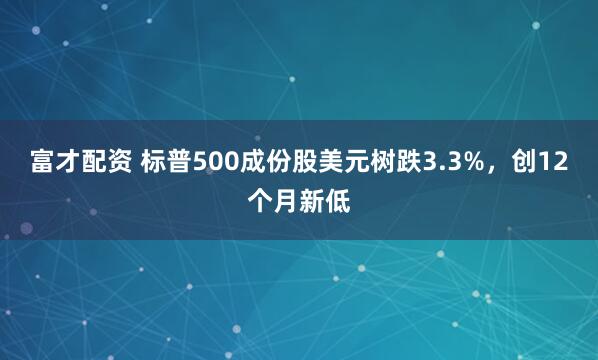 富才配资 标普500成份股美元树跌3.3%，创12个月新低