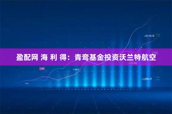 盈配网 海 利 得：青鸾基金投资沃兰特航空