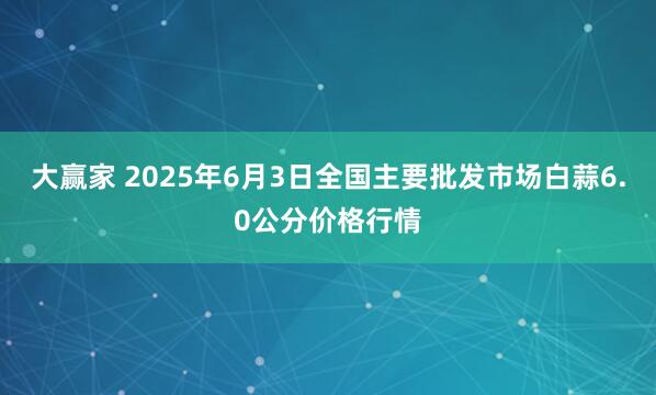 大赢家 2025年6月3日全国主要批发市场白蒜6.0公分价格行情