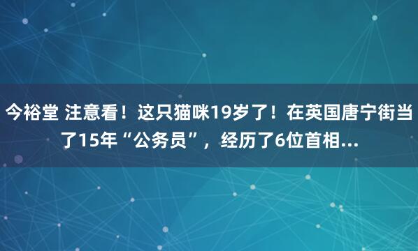 今裕堂 注意看！这只猫咪19岁了！在英国唐宁街当了15年“公务员”，经历了6位首相...
