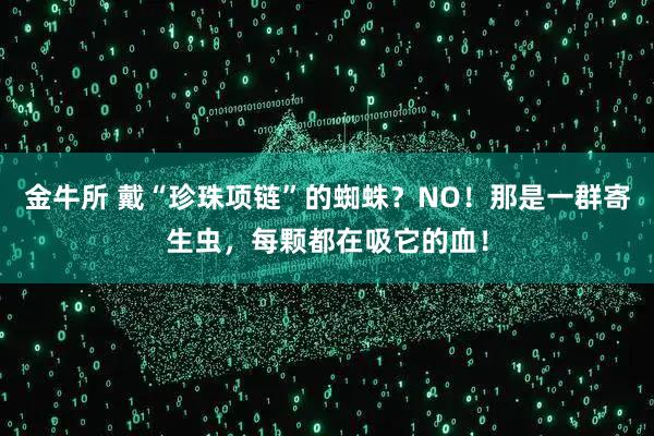 金牛所 戴“珍珠项链”的蜘蛛?NO!那是一群寄生虫,每颗都在吸它的血!